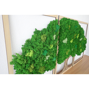 Machový obraz strom, trojdielny